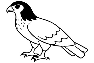 hawk silhouette line art vector illustration with a white background