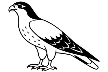 hawk silhouette line art vector illustration with a white background