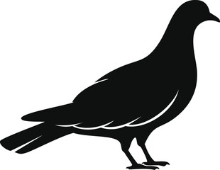 Pigeon bird Silhouette illustration