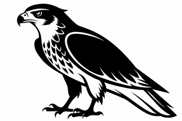 hawk silhouette line art vector illustration with a white background