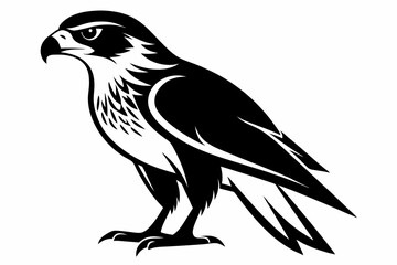 hawk silhouette line art vector illustration with a white background