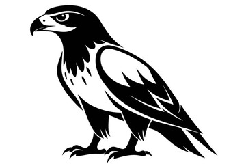 hawk silhouette line art vector illustration with a white background