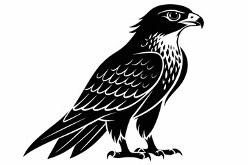 hawk silhouette line art vector illustration with a white background