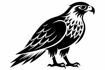 hawk silhouette line art vector illustration with a white background