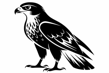 Fototapeta premium hawk silhouette line art vector illustration with a white background