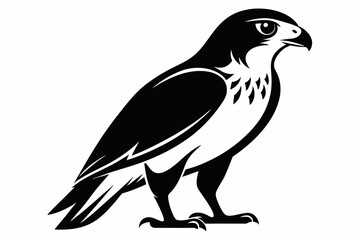 hawk silhouette line art vector illustration with a white background