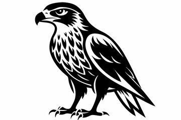 hawk silhouette line art vector illustration with a white background