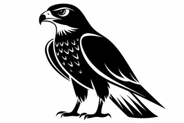 Fototapeta premium hawk silhouette line art vector illustration with a white background