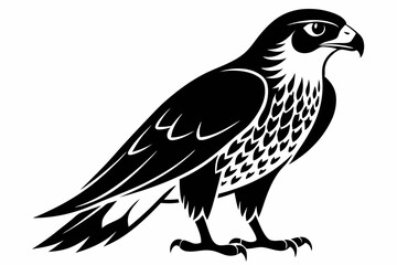 hawk silhouette line art vector illustration with a white background