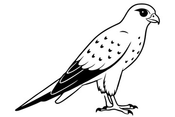 kestrel silhouette line art vector illustration with a white background