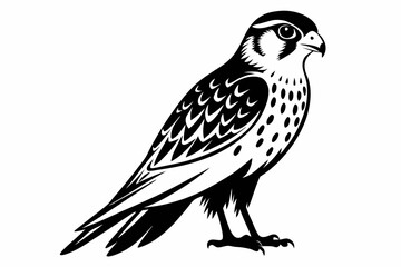 kestrel silhouette line art vector illustration with a white background