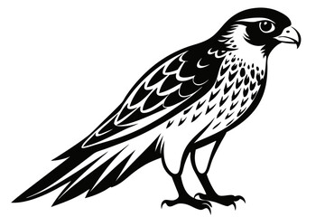 Obraz premium kestrel silhouette line art vector illustration with a white background