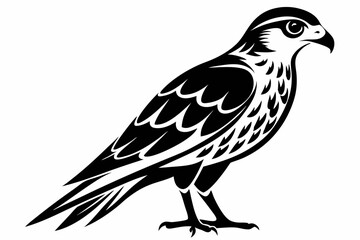 kestrel silhouette line art vector illustration with a white background