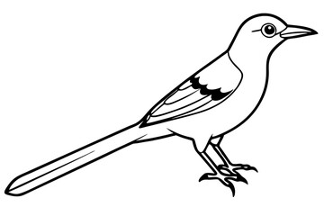 mockingbird silhouette line art vector illustration with a white background
