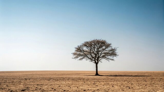 A solitary tree stands in a vast, barren landscape under a clear blue sky, evoking feelings of solitude and tranquility.