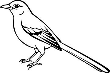 mockingbird silhouette line art vector illustration with a white background
