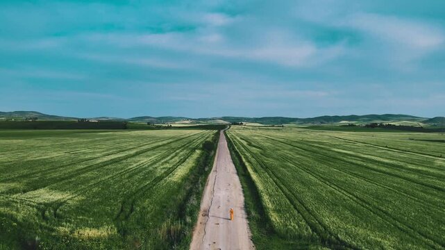Aerial view of a road cutting through vibrant green fields under a partly cloudy sky in Tunisia.
