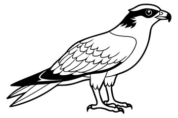 osprey silhouette line art vector illustration with a white background