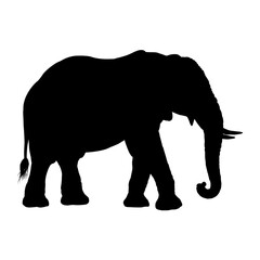 Fototapeta premium African elephant silhouette – vector illustration