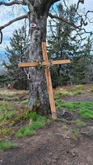 Une croix rustique en bois appuyée sur un tronc d’arbre, symbole de spiritualité et de recueillement en pleine nature montagnarde.