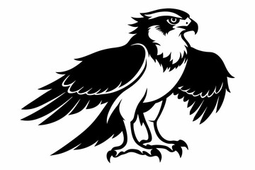 Fototapeta premium osprey silhouette line art vector illustration with a white background