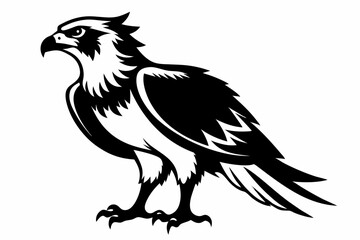 osprey silhouette line art vector illustration with a white background