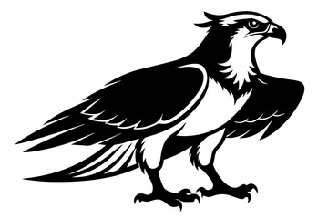 Fototapeta premium osprey silhouette line art vector illustration with a white background