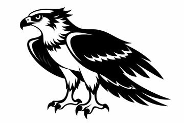 Fototapeta premium osprey silhouette line art vector illustration with a white background