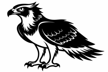 osprey silhouette line art vector illustration with a white background