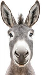 Fototapeta premium Charming cartoon donkey character displayed against a clean white background in a simple and fun line drawing style