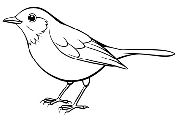robin silhouette line art vector illustration with a white background