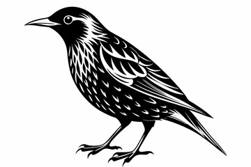 starling silhouette line art vector illustration with a white background