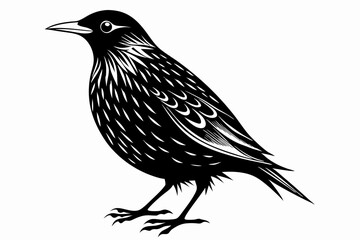 starling silhouette line art vector illustration with a white background