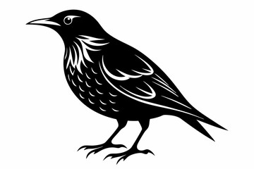 starling silhouette line art vector illustration with a white background