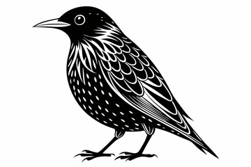starling silhouette line art vector illustration with a white background