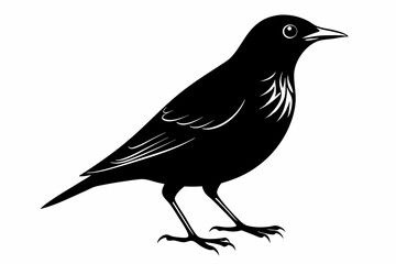 Obraz premium starling silhouette line art vector illustration with a white background
