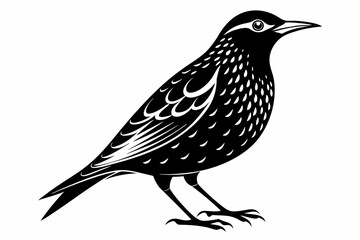 starling silhouette line art vector illustration with a white background