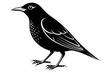 starling silhouette line art vector illustration with a white background