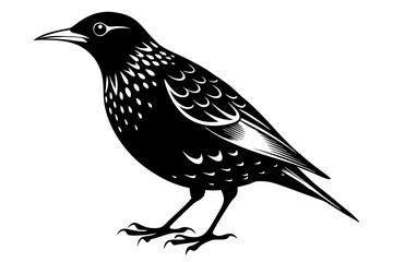 starling silhouette line art vector illustration with a white background