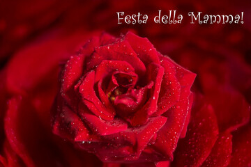 La festa della mamma è la festa più bella per gli italiani 