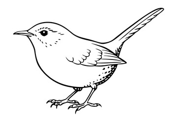 wren silhouette line art vector illustration with a white background