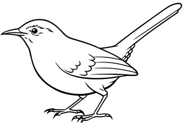 wren silhouette line art vector illustration with a white background