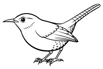 wren silhouette line art vector illustration with a white background