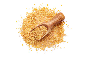 A wooden scoop filled with organic Yellow Mustard seeds (Sinapis alba), placed on a heap of mustard...