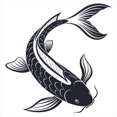 Fototapeta premium silhouette fish on white background