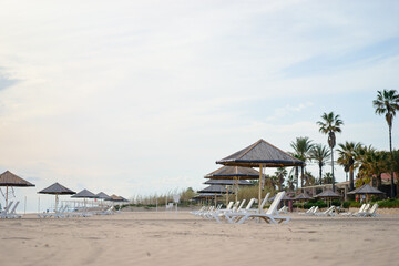 Tranquil Beach with Sun Loungers, Umbrellas, and Palm Trees by a Clear Sky