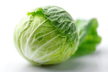 Fototapeta premium Green Cabbage Vegetable Food