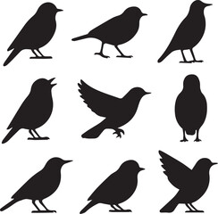 set of birds silhouettes