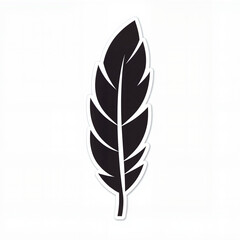 Obraz premium Black Feather Illustration on White Background 