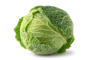 Fototapeta premium Savoy Cabbage Vegetable